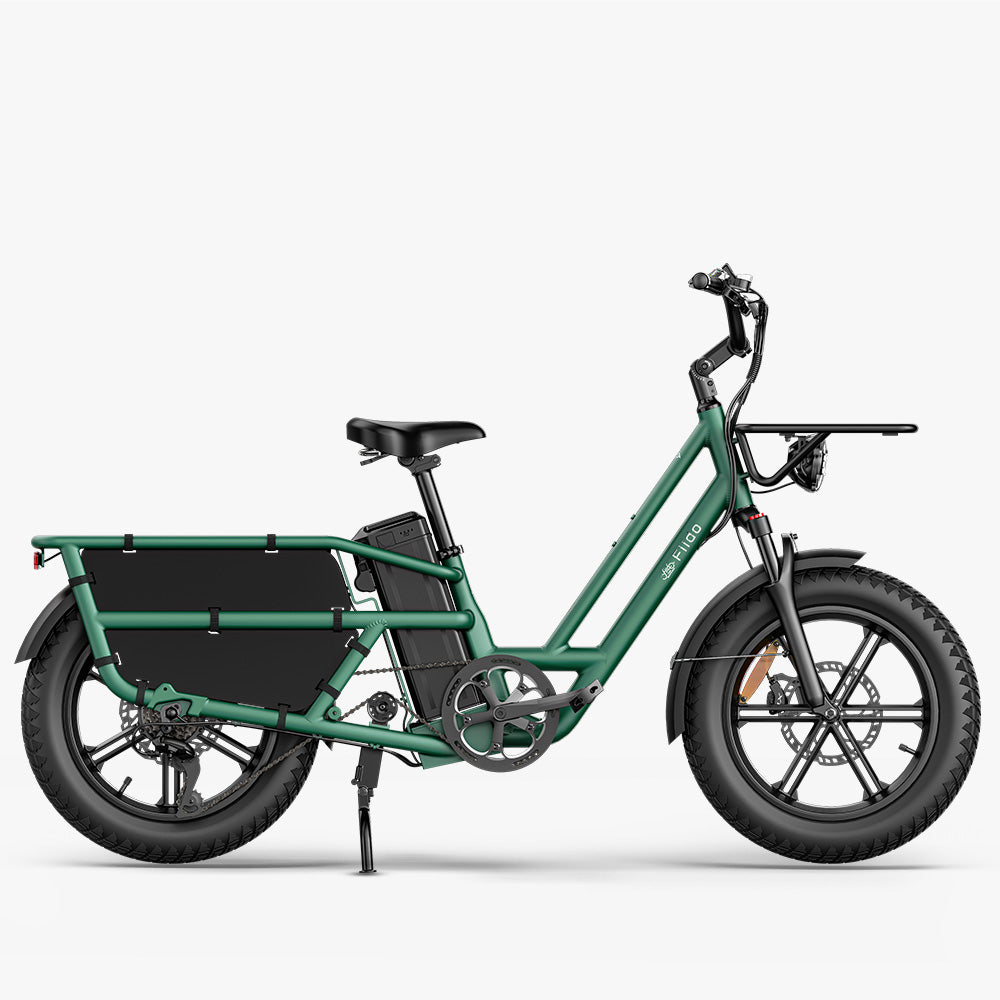 Fiido T2 longtail cargo e-bike